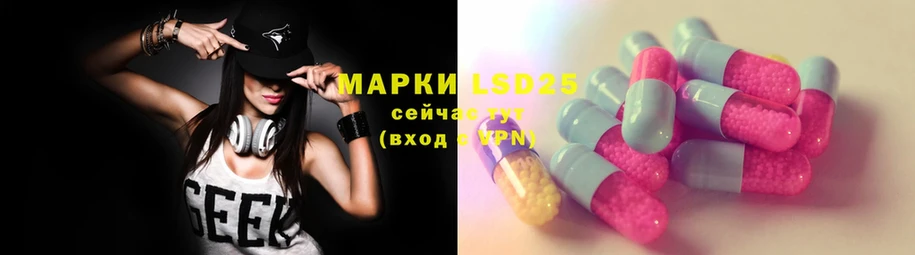 закладка  Луга  Лсд 25 экстази ecstasy 